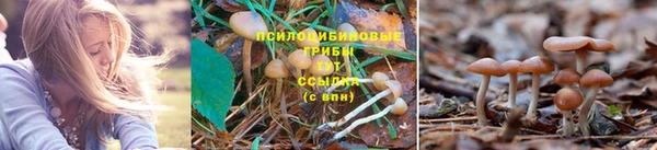 альфа пвп Беломорск