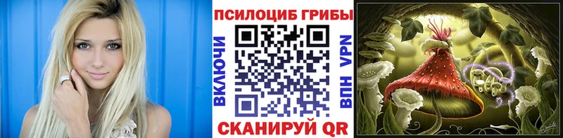 Галлюциногенные грибы Cubensis МЕГА ТОР дарк нет какой сайт Дагестанские Огни